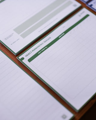 Object Permanence Tracker